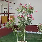 Rakos-Patak Family House