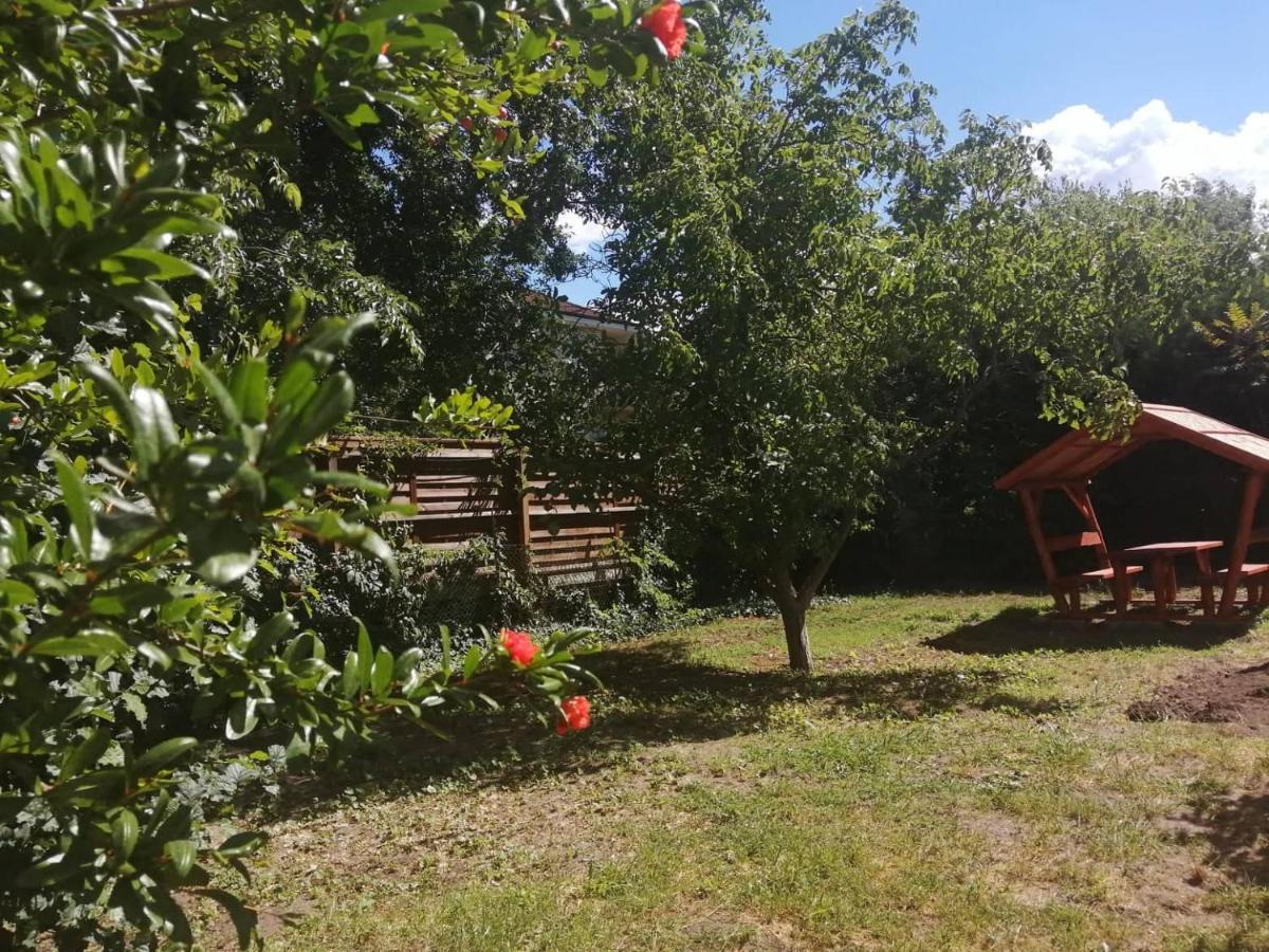 Guest house Rakos-patak Family House *