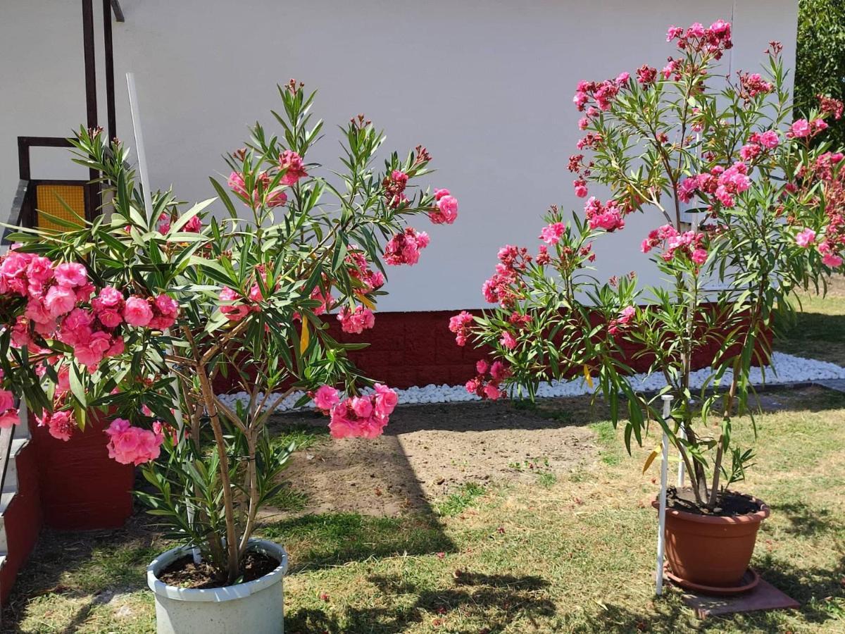 Guest house Rakos-patak Family House
