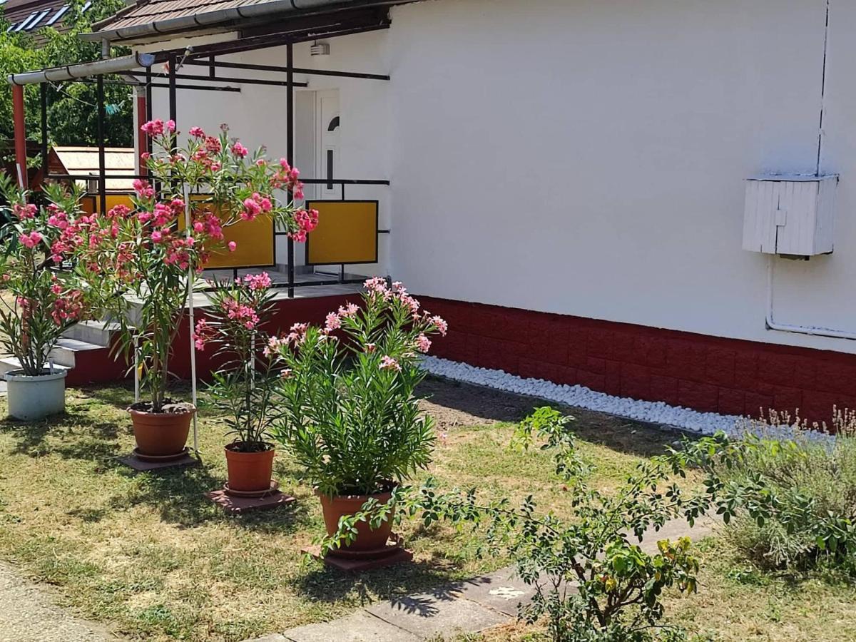 Guest house Rakos-patak Family House *